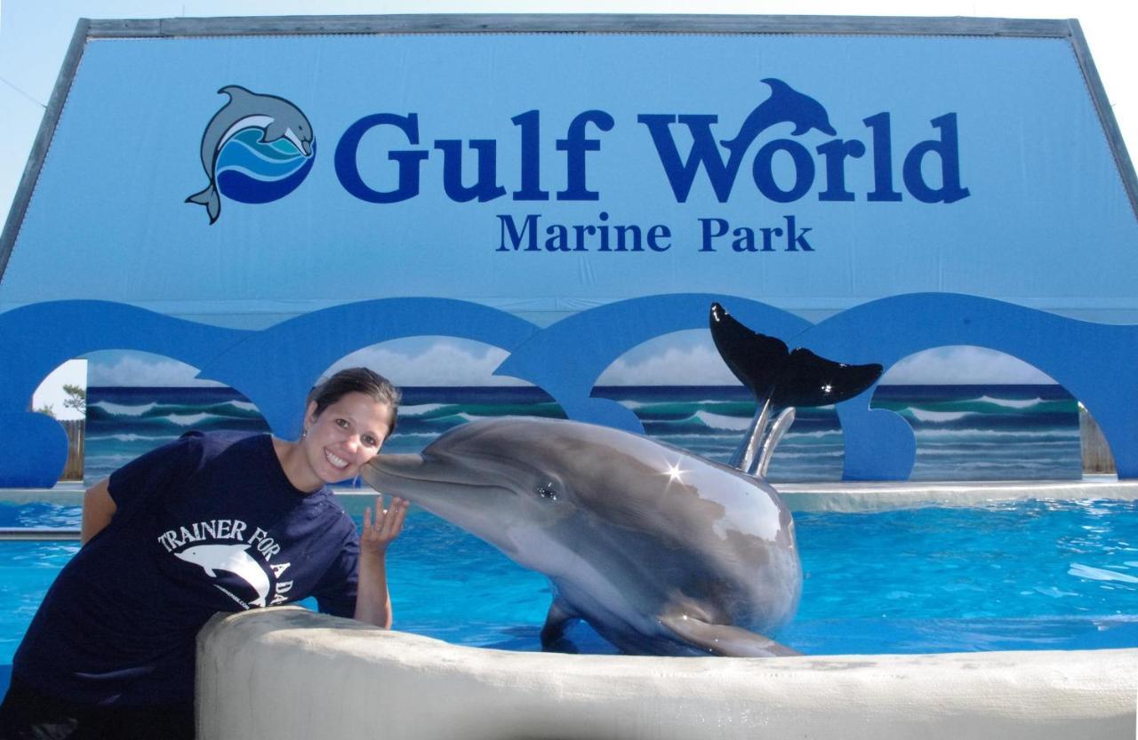 Splash 207E Panama City Beach Bagian luar foto